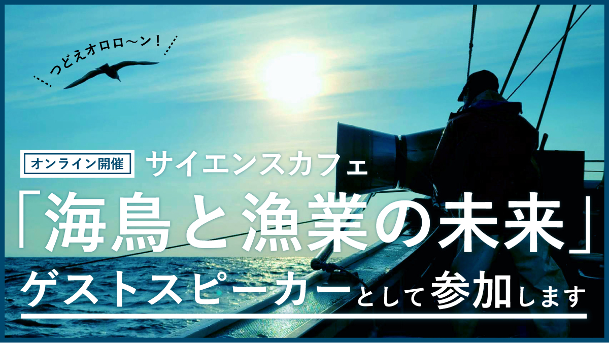 【イベント告知】３/５(土) PM「海鳥と漁業の未来」オンライン開催